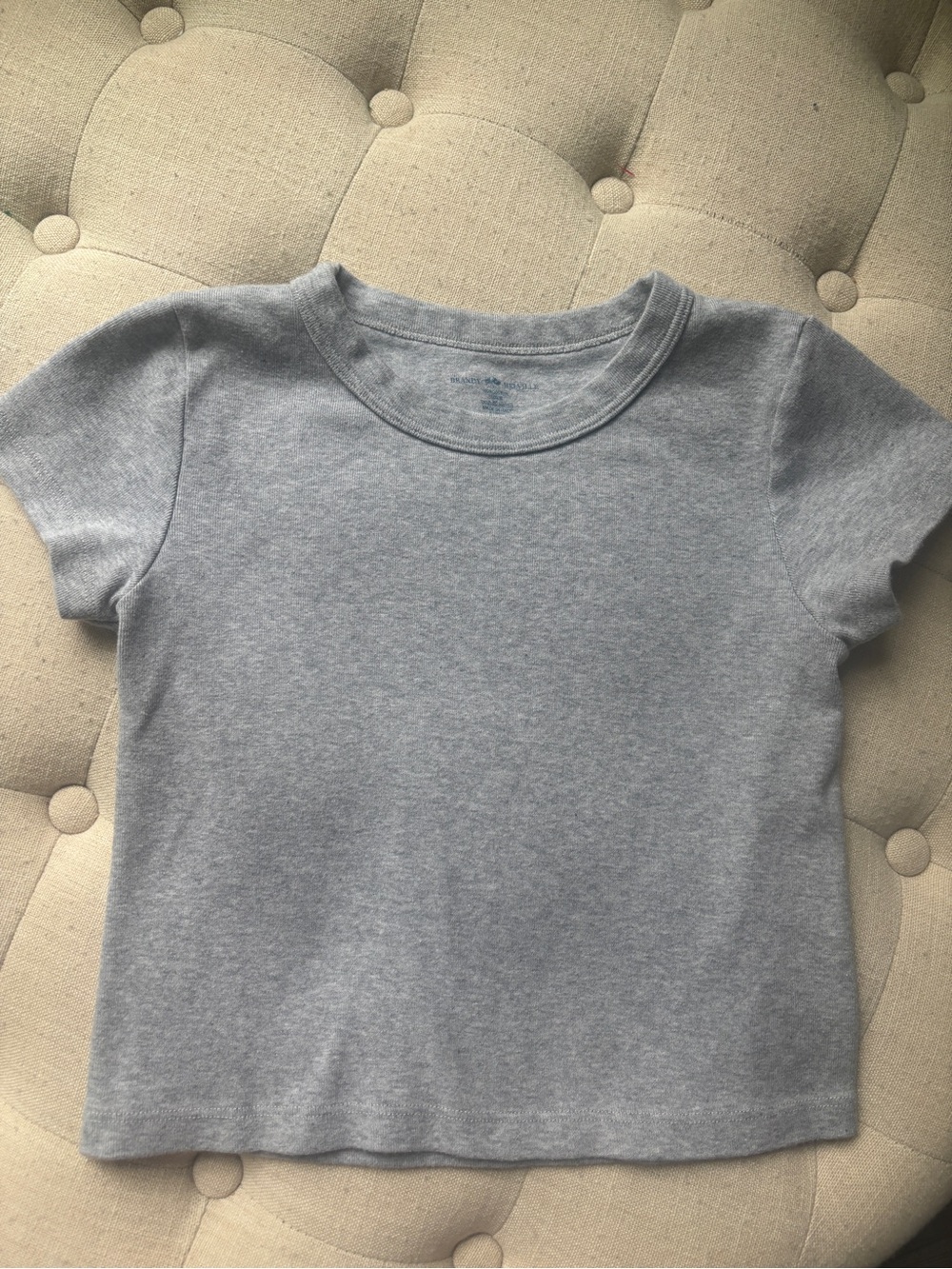 Brandy Melville Light Heather Gray Short Sleeve Tee
